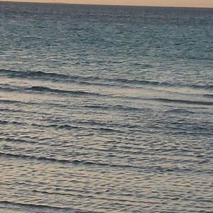 Meet your Posher, Darlene